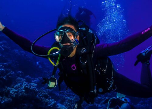 Wyspa Orange Bay i nurkowanie