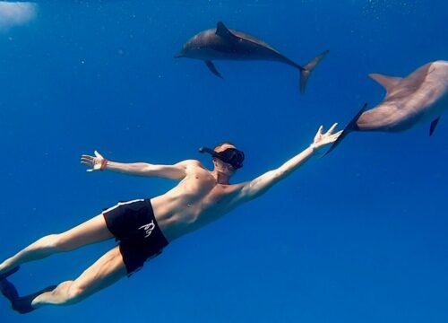 Rafa Sataya – Dom Delfinów